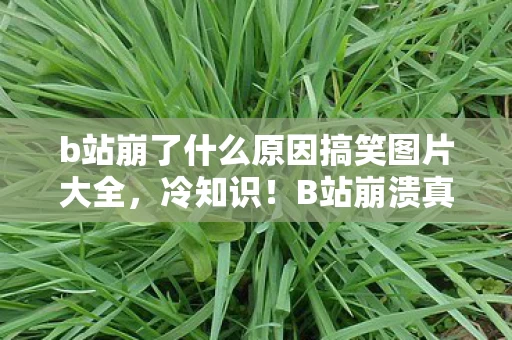 b站崩了什么原因搞笑图片大全,冷知识!B站崩溃真相颠覆认知,十年老玩家竟目瞪口呆! b站崩了什么原因搞笑图片大全,冷知识!B站崩溃真相颠覆认知,十年老玩家竟目瞪口呆!