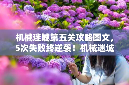 机械迷城第五关攻略图文,5次失败终逆袭!机械迷城第五关通关秘籍,震撼揭秘! 机械迷城第五关攻略图文,5次失败终逆袭!机械迷城第五关通关秘籍,震撼揭秘!