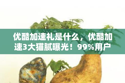 优酷加速礼是什么,优酷加速3大猫腻曝光!99%用户踩坑的光速陷阱,看完血压飙升 优酷加速礼是什么,优酷加速3大猫腻曝光!99%用户踩坑的光速陷阱,看完血压飙升