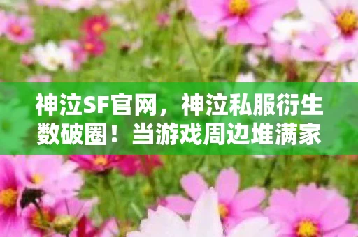神泣SF官网,神泣私服衍生数破圈!当游戏周边堆满家,这波消费意想不到! 神泣SF官网,神泣私服衍生数破圈!当游戏周边堆满家,这波消费意想不到!