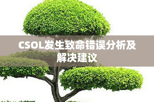 CSOL发生致命错误分析及解决建议图片
