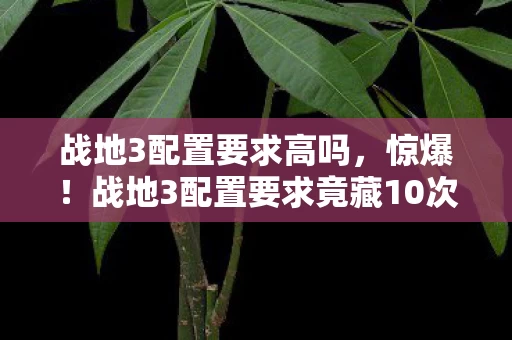 战地3配置要求高吗,惊爆!战地3配置要求竟藏10次蹊跷,真相揭晓后背发凉! 战地3配置要求高吗,惊爆!战地3配置要求竟藏10次蹊跷,真相揭晓后背发凉!