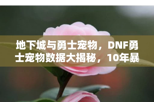 地下城与勇士宠物,DNF勇士宠物数据大揭秘,10年暴涨300%,老玩家泪目,这波情怀杀太狠! 地下城与勇士宠物,DNF勇士宠物数据大揭秘,10年暴涨300%,老玩家泪目,这波情怀杀太狠!