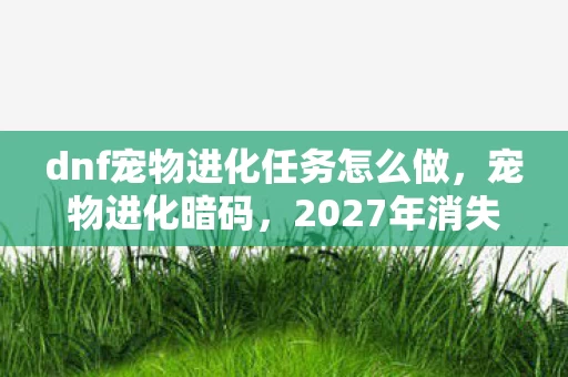 dnf宠物进化任务怎么做，宠物进化暗码，2027年消失的契约碎片与赛丽亚房间的幽灵低语