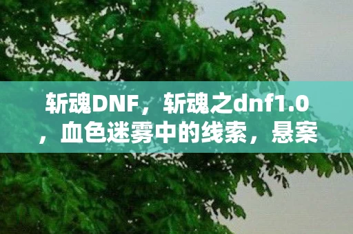 斩魂DNF，斩魂之dnf1.0，血色迷雾中的线索，悬案背后毛骨悚然的自戮真相