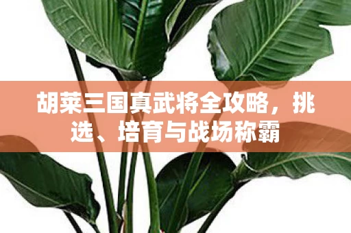 胡莱三国真武将全攻略图片
