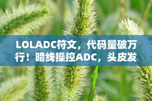 LOLADC符文，代码量破万行！暗线操控ADC，头皮发麻的战场艺术