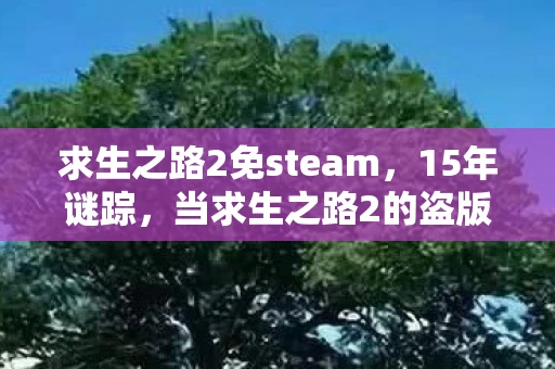 求生之路2免steam,15年谜踪,当求生之路2的盗版密钥刺破黎明,谁在暗处泪目? 求生之路2免steam,15年谜踪,当求生之路2的盗版密钥刺破黎明,谁在暗处泪目?