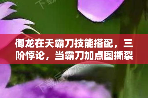 御龙在天霸刀技能搭配,三阶悖论,当霸刀加点图撕裂自由意志的灵魂震颤 御龙在天霸刀技能搭配,三阶悖论,当霸刀加点图撕裂自由意志的灵魂震颤