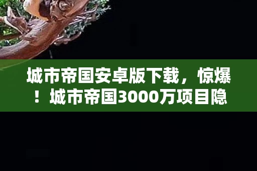 城市帝国安卓版下载,惊爆!城市帝国3000万项目隐情曝光,离职老兵掀桌,这操作真让人吓一跳! 城市帝国安卓版下载,惊爆!城市帝国3000万项目隐情曝光,离职老兵掀桌,这操作真让人吓一跳!