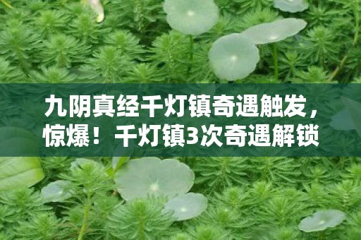 九阴真经千灯镇奇遇触发,惊爆!千灯镇3次奇遇解锁隐藏秘籍,老玩家直呼过瘾! 九阴真经千灯镇奇遇触发,惊爆!千灯镇3次奇遇解锁隐藏秘籍,老玩家直呼过瘾!