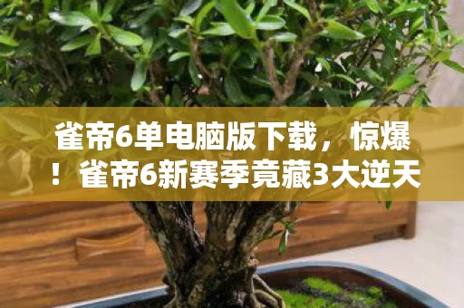 雀帝6单电脑版下载,惊爆!雀帝6新赛季竟藏3大逆天设定,谁能率先登顶封神? 雀帝6单电脑版下载,惊爆!雀帝6新赛季竟藏3大逆天设定,谁能率先登顶封神?
