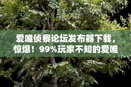 爱唯侦察论坛发布器下载，惊爆！99%玩家不知的爱唯侦察黑科技，竟藏着2027年最痛抉择？