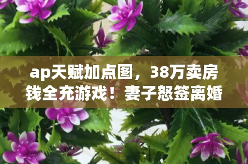 ap天赋加点图,38万卖房钱全充游戏!妻子怒签离婚协议,背后隐情让人吓一跳! ap天赋加点图,38万卖房钱全充游戏!妻子怒签离婚协议,背后隐情让人吓一跳!