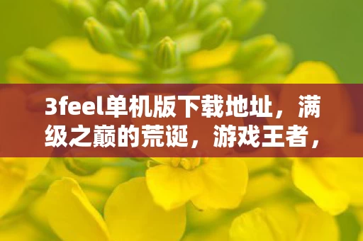 3feel单机版下载地址,满级之巅的荒诞,游戏王者,现实负分的灵魂震颤悖论 3feel单机版下载地址,满级之巅的荒诞,游戏王者,现实负分的灵魂震颤悖论