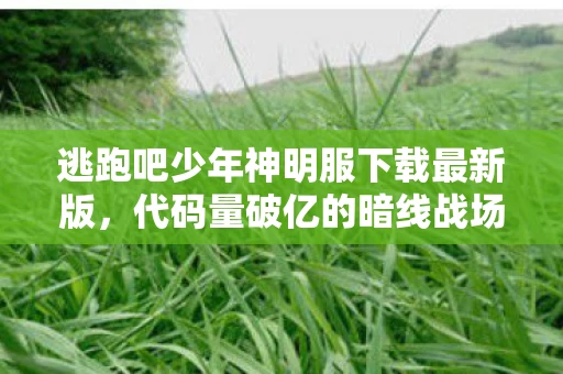逃跑吧少年神明服下载最新版,代码量破亿的暗线战场,我在神明服用头皮发麻的规则活成数字原住民 逃跑吧少年神明服下载最新版,代码量破亿的暗线战场,我在神明服用头皮发麻的规则活成数字原住民