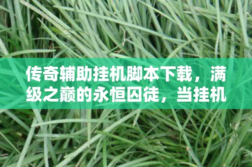 传奇辅助挂机脚本下载,满级之巅的永恒囚徒,当挂机脚本成为人生最忠诚的背叛者 传奇辅助挂机脚本下载,满级之巅的永恒囚徒,当挂机脚本成为人生最忠诚的背叛者