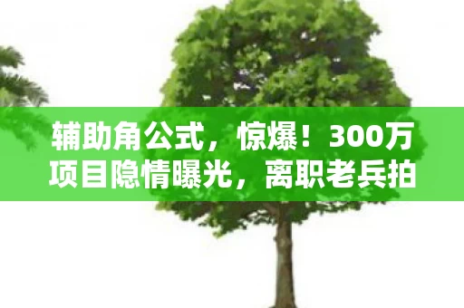 辅助角公式，惊爆！300万项目隐情曝光，离职老兵拍桌，这方案能过？吓一跳！