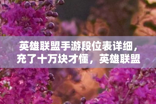 英雄联盟手游段位表详细，充了十万块才懂，英雄联盟手游段位竟是氪金陷阱？这隐情吓我一跳！