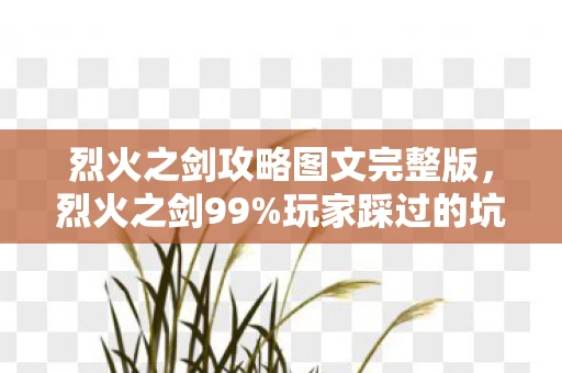 烈火之剑攻略图文完整版，烈火之剑99%玩家踩过的坑！10大心得避坑指南助你封神