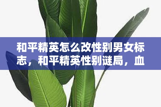 和平精英怎么改性别男女标志,和平精英性别谜局,血色ID下的悬案,谁在暗处毛骨悚然地笑? 和平精英怎么改性别男女标志,和平精英性别谜局,血色ID下的悬案,谁在暗处毛骨悚然地笑?