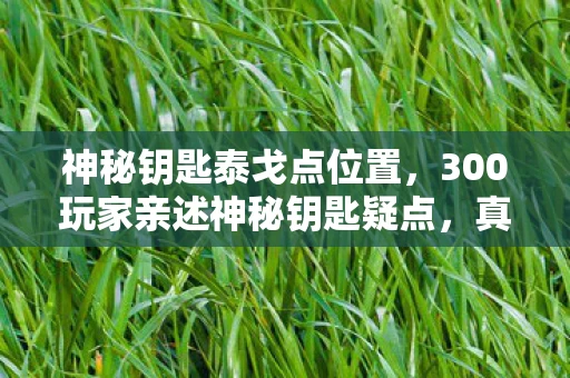 神秘钥匙泰戈点位置,300玩家亲述神秘钥匙疑点,真相未明时有人已绷不住了! 神秘钥匙泰戈点位置,300玩家亲述神秘钥匙疑点,真相未明时有人已绷不住了!