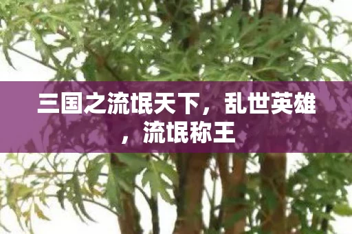 三国之流氓天下图片