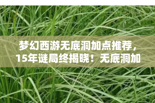 梦幻西游无底洞加点推荐,15年谜局终揭晓!无底洞加点血泪史,那些消失的ID与未亡的魂 梦幻西游无底洞加点推荐,15年谜局终揭晓!无底洞加点血泪史,那些消失的ID与未亡的魂