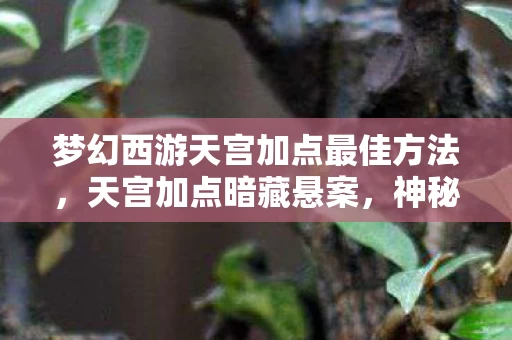 梦幻西游天宫加点最佳方法,天宫加点暗藏悬案,神秘线索交织,毛骨悚然真相待揭! 梦幻西游天宫加点最佳方法,天宫加点暗藏悬案,神秘线索交织,毛骨悚然真相待揭!