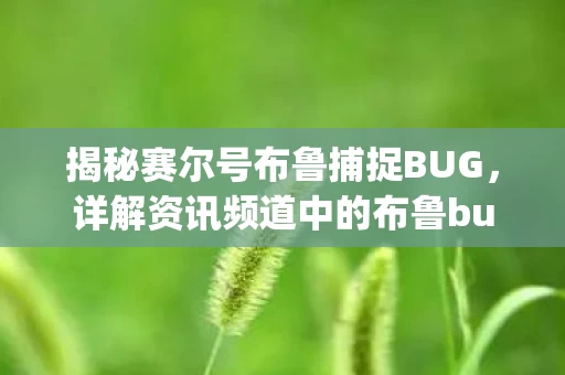 详解资讯频道中的布鲁bug捕捉攻略图片