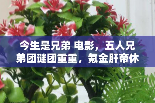 今生是兄弟 电影，五人兄弟团谜团重重，氪金肝帝休闲党集体破防！