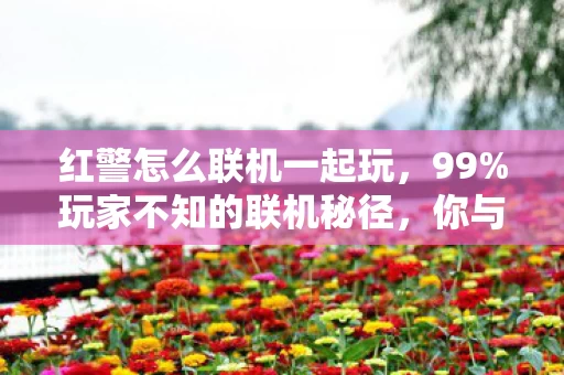 红警怎么联机一起玩，99%玩家不知的联机秘径，你与高手的差距，竟藏在这1%的暗网里？