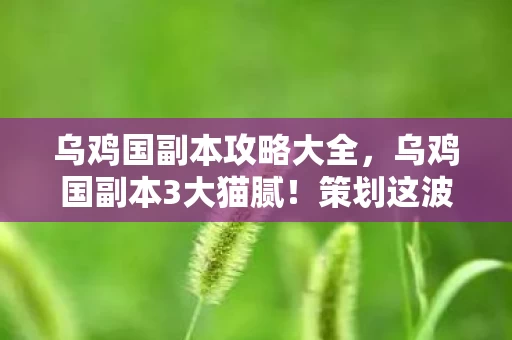 乌鸡国副本攻略大全，乌鸡国副本3大猫腻！策划这波操作让我血压飙升又真香
