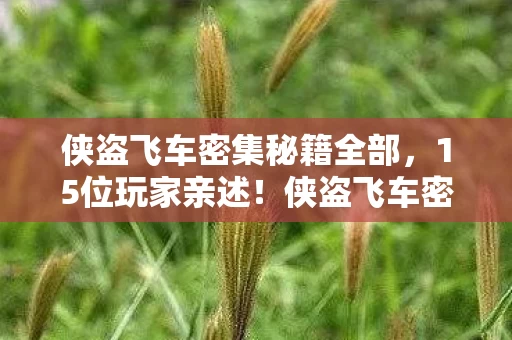 侠盗飞车密集秘籍全部,15位玩家亲述!侠盗飞车密集疑点大起底,真相让人绷不住 侠盗飞车密集秘籍全部,15位玩家亲述!侠盗飞车密集疑点大起底,真相让人绷不住