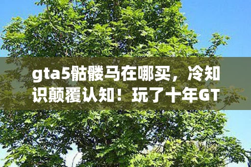 gta5骷髅马在哪买,冷知识颠覆认知!玩了十年GTA5骷髅马,真相让我目瞪口呆 gta5骷髅马在哪买,冷知识颠覆认知!玩了十年GTA5骷髅马,真相让我目瞪口呆