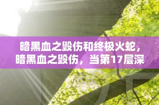暗黑血之毁伤和终极火蛇,暗黑血之毁伤,当第17层深渊的献祭者,同时成为命运与自由的刽子手 暗黑血之毁伤和终极火蛇,暗黑血之毁伤,当第17层深渊的献祭者,同时成为命运与自由的刽子手