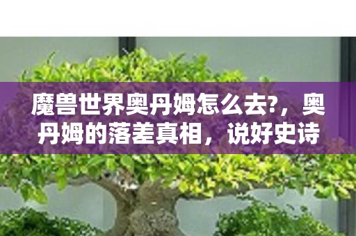 魔兽世界奥丹姆怎么去?，奥丹姆的落差真相，说好史诗级冒险，笑着笑着就哭成狗了！