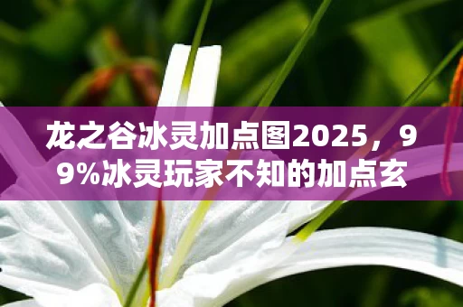龙之谷冰灵加点图2025,99%冰灵玩家不知的加点玄机!这套反常识方案竟让输出暴涨300%? 龙之谷冰灵加点图2025,99%冰灵玩家不知的加点玄机!这套反常识方案竟让输出暴涨300%?