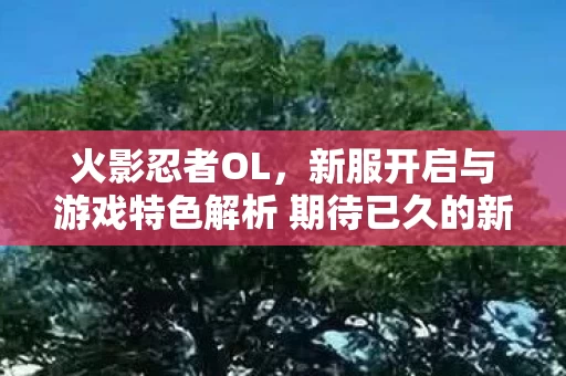 新服开启与游戏特色解析 期待已久的新世界图片