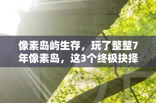像素岛屿生存，玩了整整7年像素岛，这3个终极抉择让我彻底破防了！