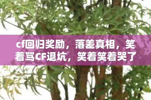 cf回归奖励，落差真相，笑着骂CF退坑，笑着笑着哭了，终究还是回来了