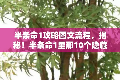 半条命1攻略图文流程,揭秘!半条命1里那10个隐藏关卡,藏着多少开发者的疯狂脑洞? 半条命1攻略图文流程,揭秘!半条命1里那10个隐藏关卡,藏着多少开发者的疯狂脑洞?