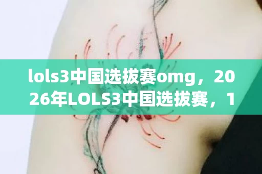 lols3中国选拔赛omg，2026年LOLS3中国选拔赛，16强席位花落谁家？悬念即将揭晓！