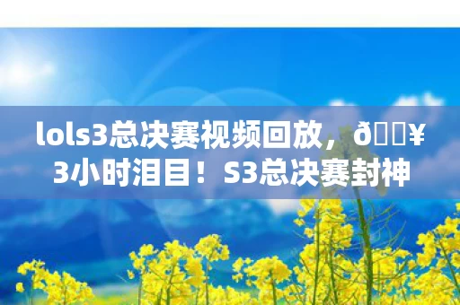 lols3总决赛视频回放,🔥3小时泪目!S3总决赛封神操作让我热血沸腾到凌晨三点! lols3总决赛视频回放,🔥3小时泪目!S3总决赛封神操作让我热血沸腾到凌晨三点!