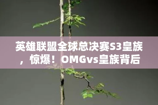 英雄联盟全球总决赛S3皇族,惊爆!OMGvs皇族背后藏着500万隐情,真相让人吓一跳! 英雄联盟全球总决赛S3皇族,惊爆!OMGvs皇族背后藏着500万隐情,真相让人吓一跳!