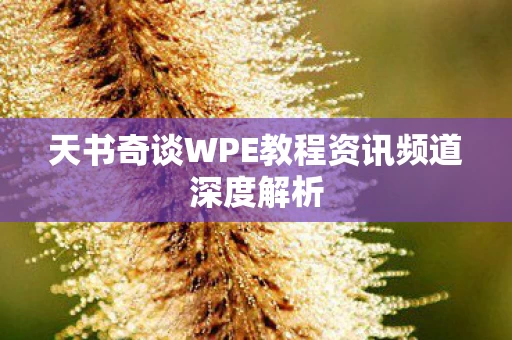 天书奇谈WPE教程资讯频道深度解析图片