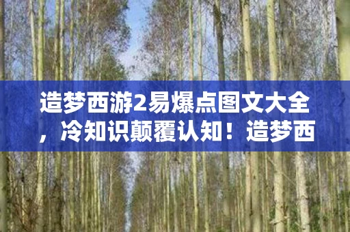 造梦西游2易爆点图文大全，冷知识颠覆认知！造梦西游2易爆点背后，竟藏着让你目瞪口呆的秘密
