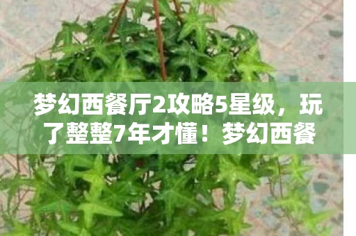 梦幻西餐厅2攻略5星级,玩了整整7年才懂!梦幻西餐厅2这3个隐藏结局,选哪个都后悔? 梦幻西餐厅2攻略5星级,玩了整整7年才懂!梦幻西餐厅2这3个隐藏结局,选哪个都后悔?
