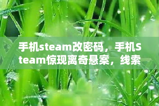 手机steam改密码，手机Steam惊现离奇悬案，线索交织，毛骨悚然杀戮真相待揭