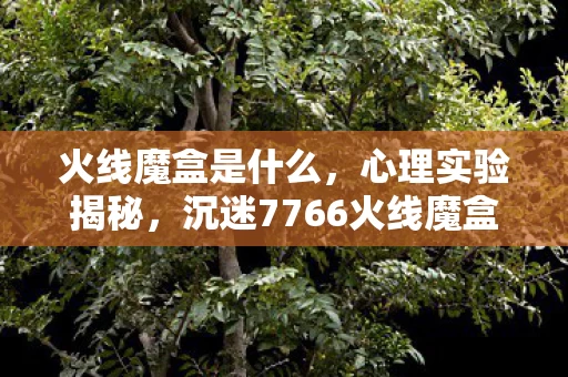火线魔盒是什么,心理实验揭秘,沉迷7766火线魔盒背后的多巴胺陷阱,细思极恐! 火线魔盒是什么,心理实验揭秘,沉迷7766火线魔盒背后的多巴胺陷阱,细思极恐!
